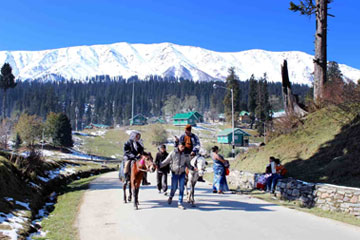 Best of Srinagar Gulmarg Tour