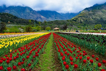 Srinagar Gulmarg Pahalgam Sonmarg Tour Package